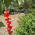 Salento. Il Giardino In Piazza Oda ve Kahvaltı 3*