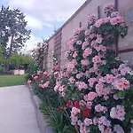 Oda ve Kahvaltı Salento. Il Giardino In Piazza Galugnano