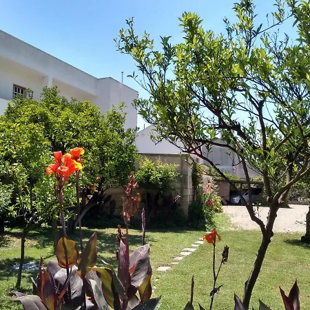 Salento. Il Giardino In Piazza