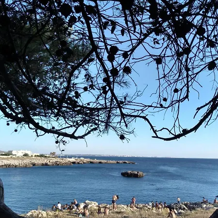 Salento. Il Giardino In Piazza * Galugnano