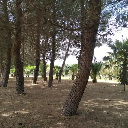 Salento. Il Giardino In Piazza *