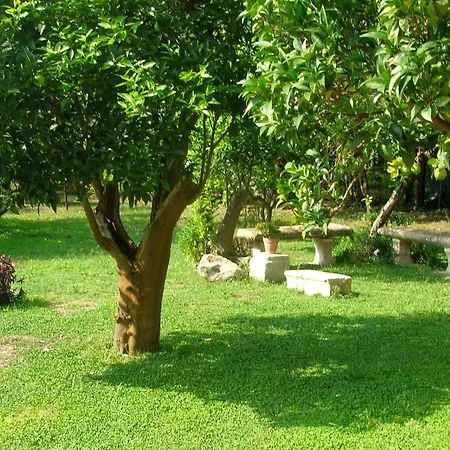 Salento. Il Giardino In Piazza Panzió 3*