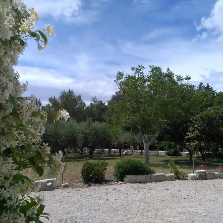 Salento. Il Giardino In Piazza Galugnano