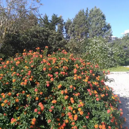 Salento. Il Giardino In Piazza