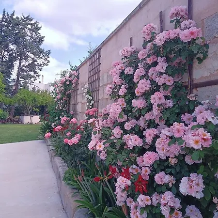 Bed & Breakfast Salento. Il Giardino In Piazza Galugnano