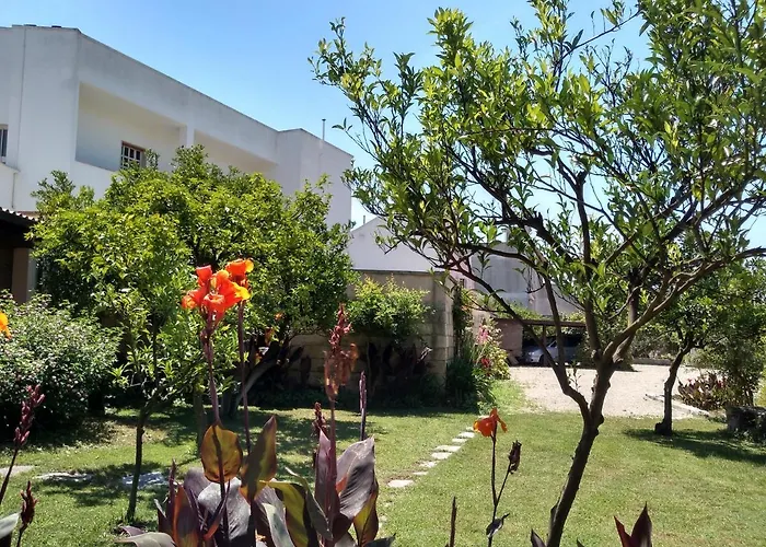 Salento. Il Giardino In Piazza