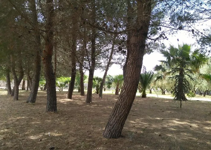 Salento. Il Giardino In Piazza 3*