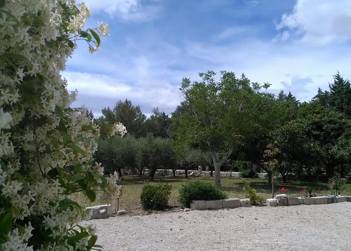 Salento. Il Giardino In Piazza Galugnano