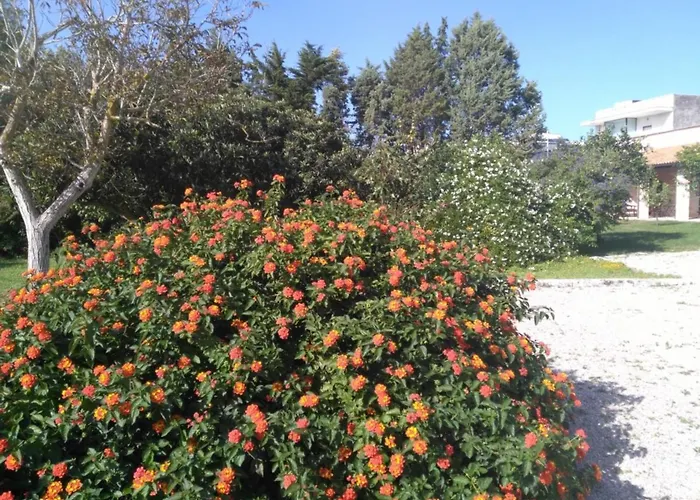 Salento. Il Giardino In Piazza