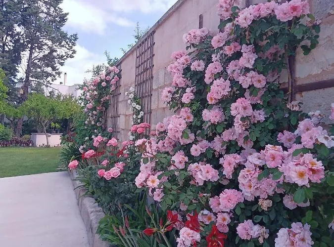 ベッド・アンド・ブレックファスト Salento. Il Giardino In Piazza Galugnano